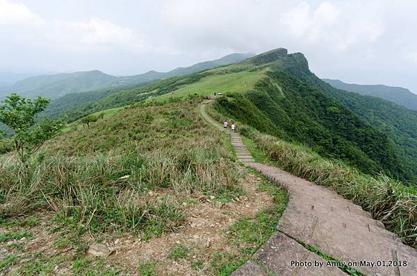 桃源谷（大溪線）步道 單面山