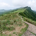 桃源谷（大溪線）步道 單面山