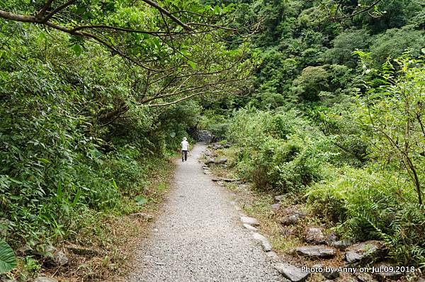 宜蘭新寮瀑布步道8.jpg