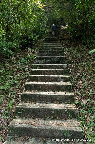 皇帝殿登山步道12.jpg