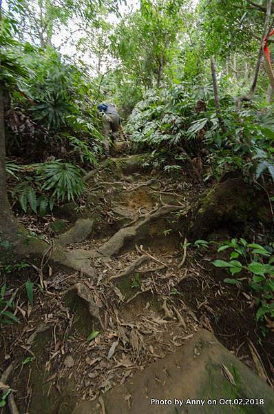 皇帝殿登山步道34.jpg