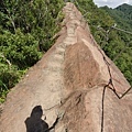 皇帝殿登山步道 皇帝殿稜線53