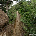 皇帝殿登山步道58.jpg