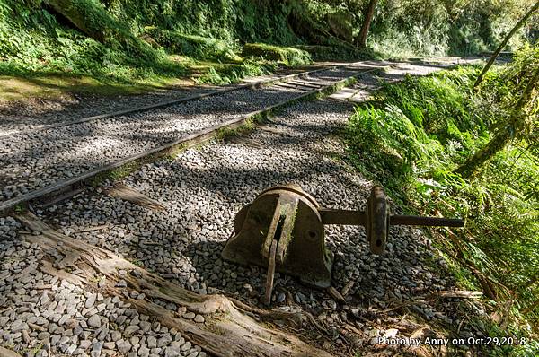 宜蘭見晴古道10.jpg