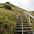 合歡尖山步道4.jpg