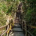 大坑風景區（十號登山步道）6