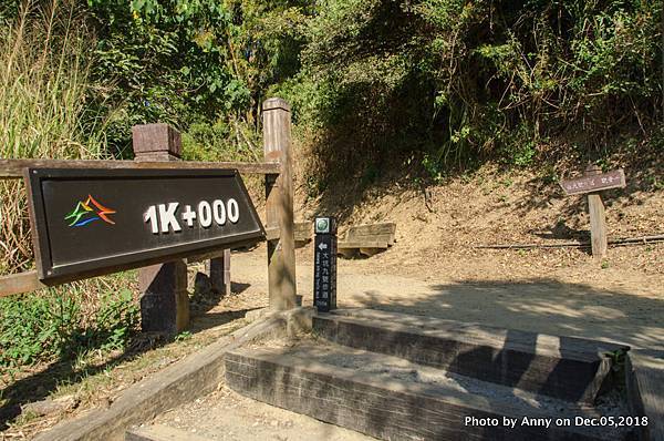 大坑風景區（十號登山步道）18