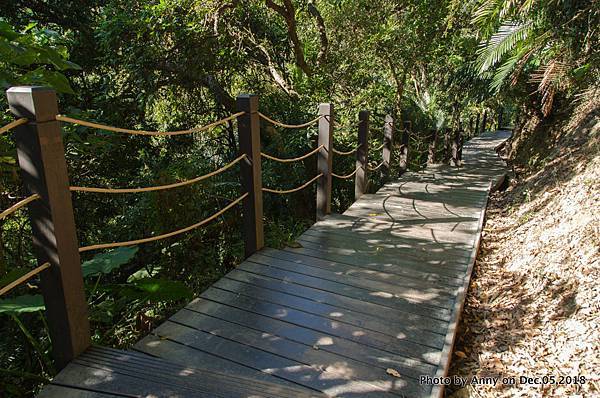 大坑風景區（十號登山步道）13