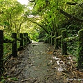 平溪步道（孝子山、慈母峰）11