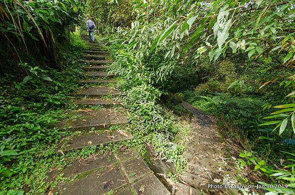 平溪步道（孝子山、慈母峰）14