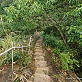 慈母峰登山步道62