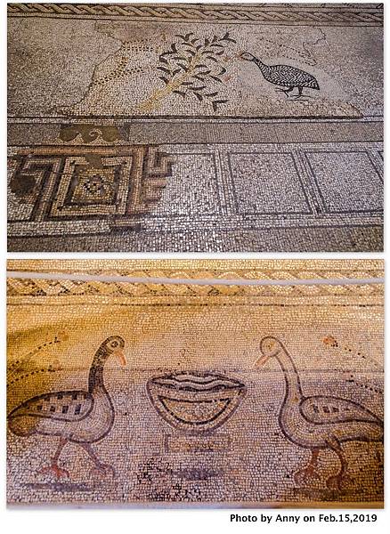 Tiberias  五餅二魚教堂 馬賽克地板