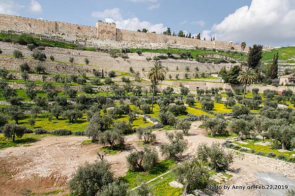 汲倫溪谷（Kidron Valley）9