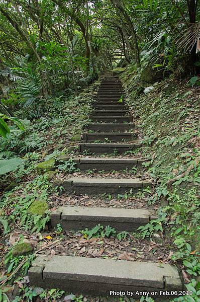  海興登山步道6.jpg