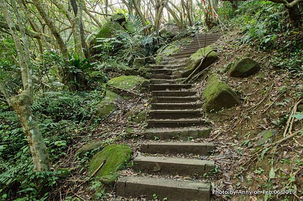  海興登山步道7.jpg