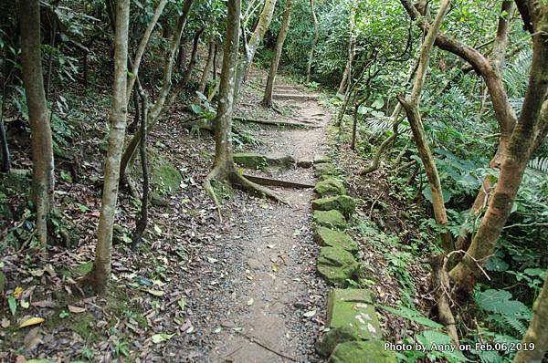  海興登山步道8.jpg