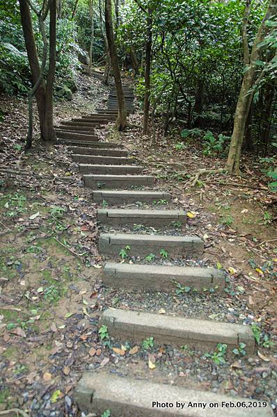  海興登山步道9.jpg