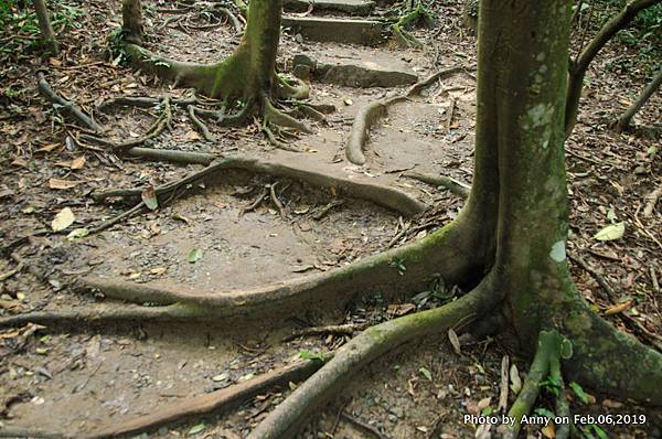  海興登山步道11.jpg