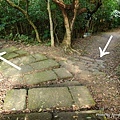 情人湖登山步道2.jpg