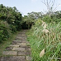 情人湖登山步道3.jpg