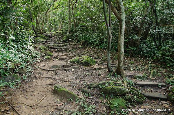  海興登山步道12.jpg