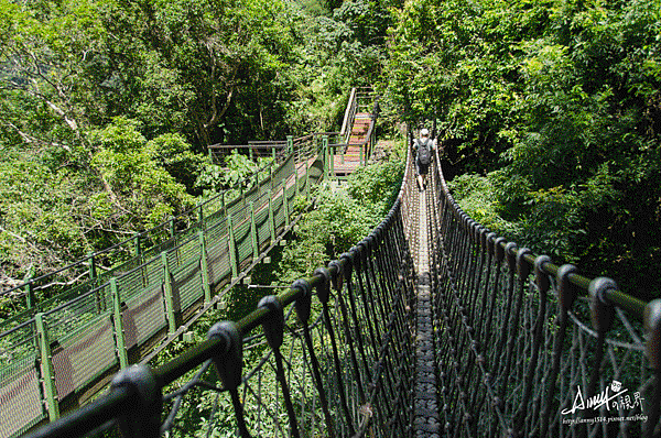 花蓮小錐麓步道吊橋19