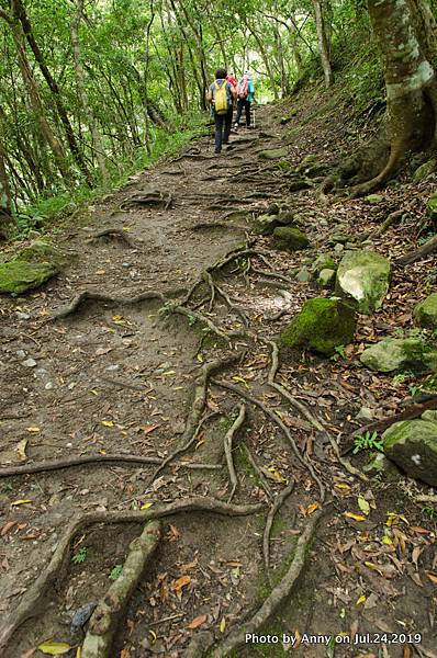 錐麓古道18.jpg