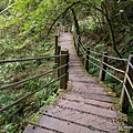 杉林溪森林園區 樂山步道6.jpg