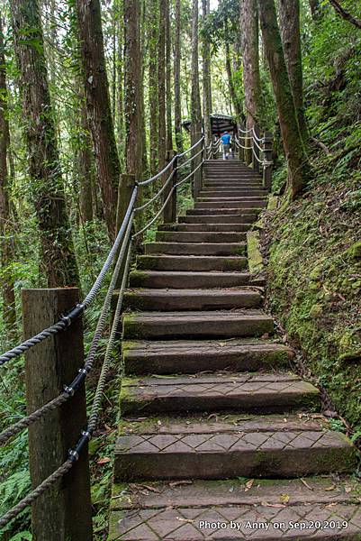 杉林溪森林園區 樂山步道9.jpg