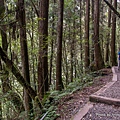 杉林溪森林園區 樂山步道10.jpg