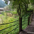 杉林溪森林園區 樂山步道14.jpg