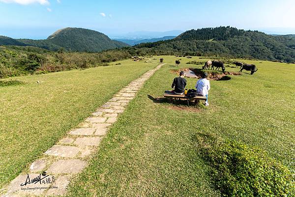 陽明山頂山.石梯嶺步道37.jpg