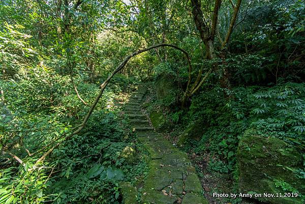 陽明山頂山.石梯嶺步道 風櫃嘴步道10