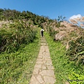 陽明山頂山.石梯嶺步道15.jpg