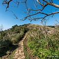 陽明山頂山.石梯嶺步道20.jpg