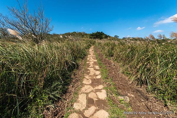 陽明山頂山.石梯嶺步道21.jpg