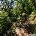 陽明山頂山.石梯嶺步道24.jpg