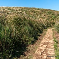 陽明山頂山.石梯嶺步道23.jpg