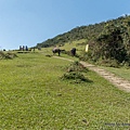 陽明山頂山.石梯嶺步道 石梯嶺32