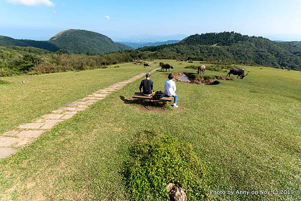 陽明山頂山.石梯嶺步道 石梯嶺36