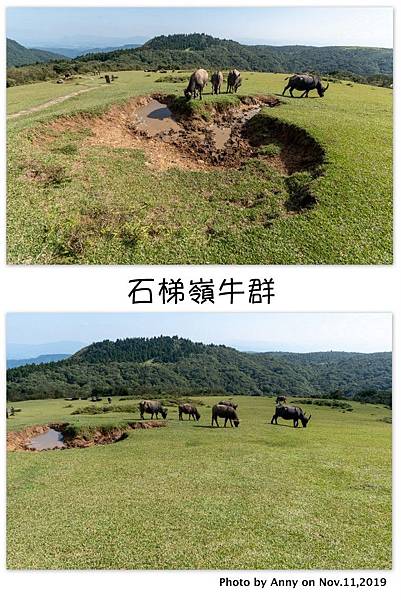 陽明山頂山.石梯嶺步道 石梯嶺7