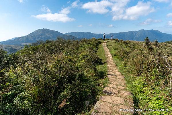 陽明山頂山.石梯嶺步道41.jpg