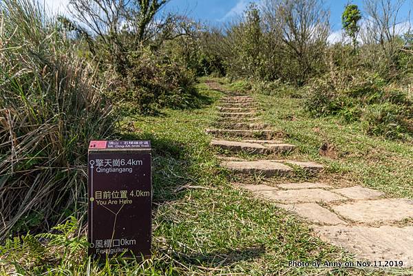 陽明山頂山.石梯嶺步道38.jpg