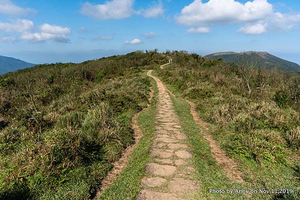 陽明山頂山.石梯嶺步道43.jpg