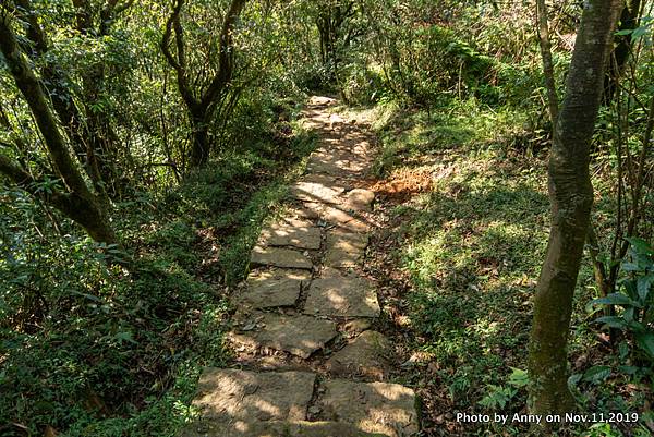 陽明山頂山.石梯嶺步道44.jpg