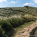 陽明山頂山.石梯嶺步道45.jpg