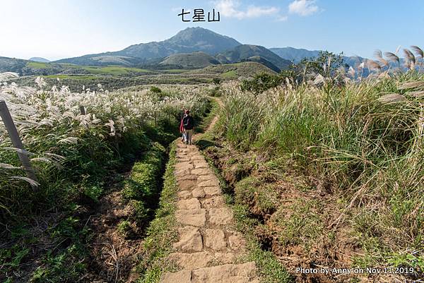 陽明山頂山.石梯嶺步道46.jpg