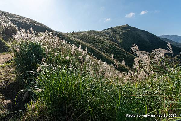 陽明山頂山.石梯嶺步道50.jpg