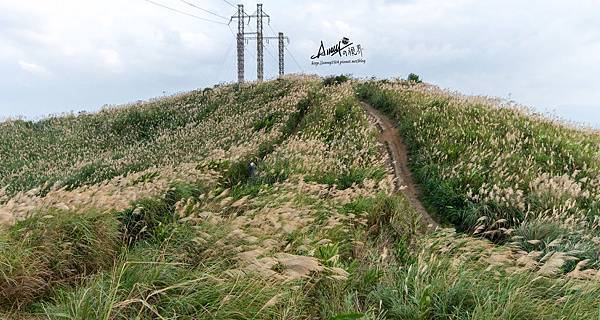 三角埔頂山4