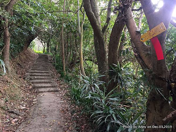 大同山登山步道22.JPG